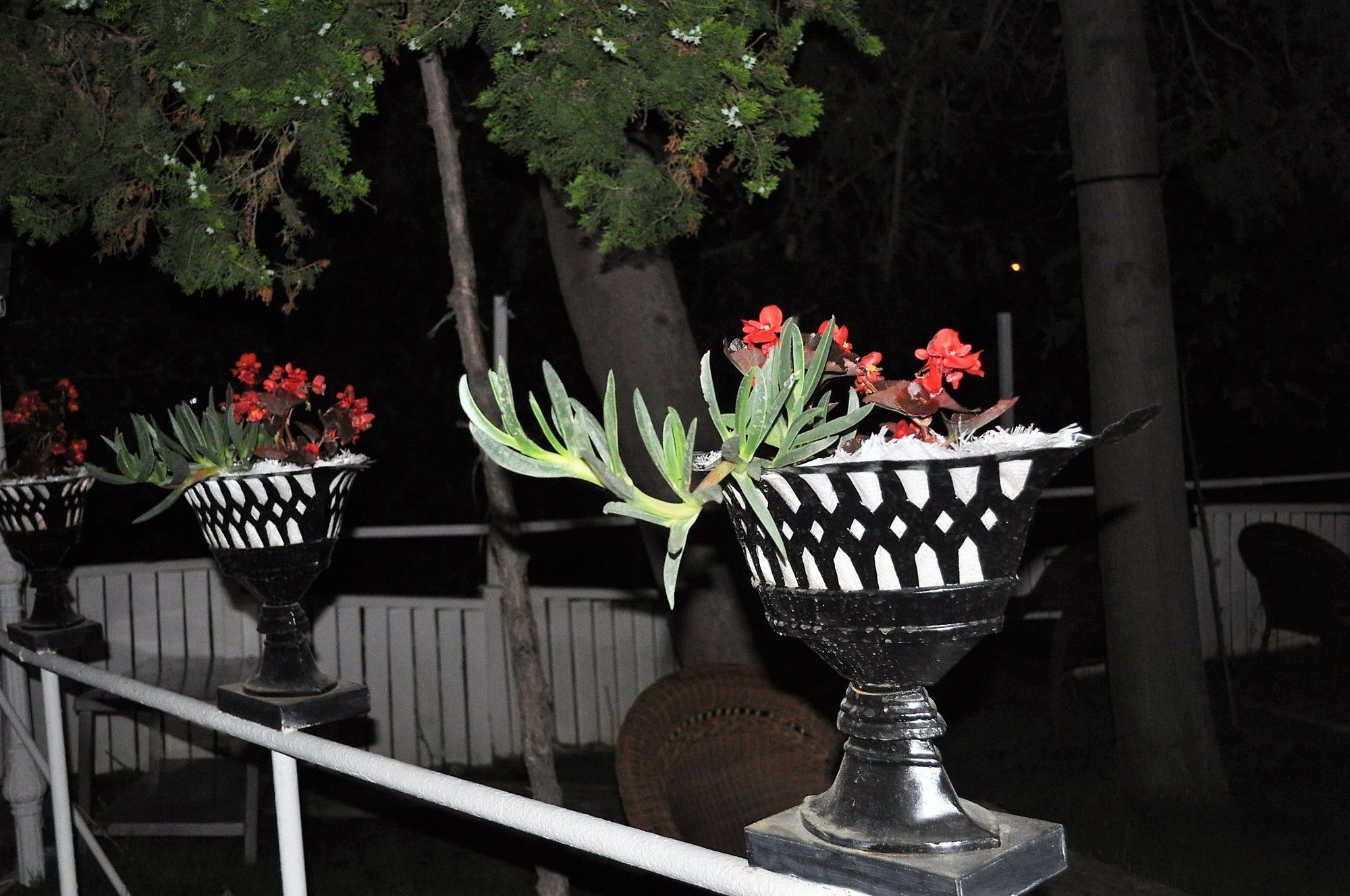 Syedra Princess Hotel Mahmutlar Exterior foto